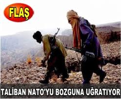 NATO'ya 600 Tabut Gönderdiler(FOTO)