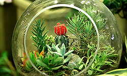 İstanbul"da İran Özel Fuarı