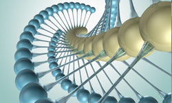 Ahmedinejad'ın Hediyesi Katar'da Şevk Oluşturdu