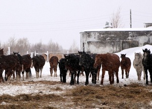 Güneşin İlk Doğduğu Yer-FOTO
