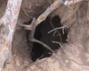 Mescid-i Aksa Her An Yıkılabilir