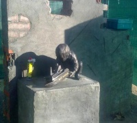 Madrid'te Mavi Marmara Şehidleri Anıtı