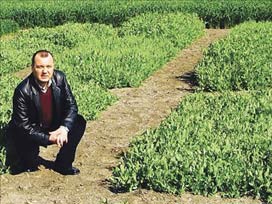 İsrail'e Tohum Satmak İstemiyoruz