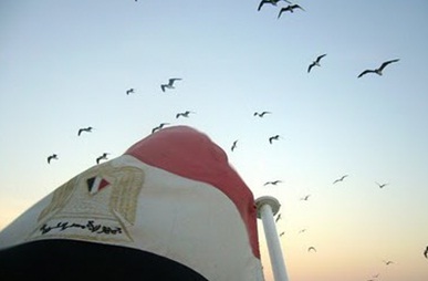 Mısır'dan IMF'ye Red