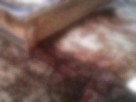 İşte Bin Ladin'in Vurulduğu Ev-VİDEO