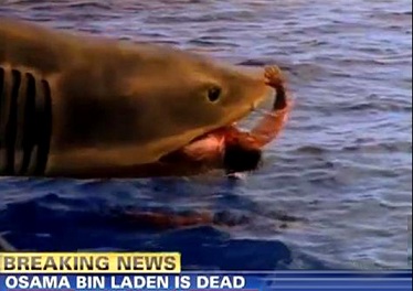 CNN'den Ladin Propagandası-FOTO