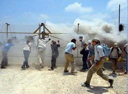 Filistinliler 'Duvar'a karşı yürüdü