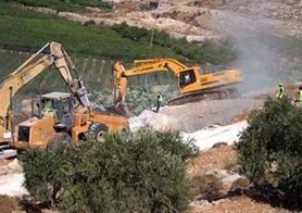 'İşgal Askerleri'nden Şerefsizlik