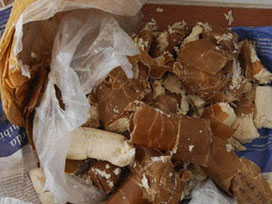 Tekfirci Teröristlerden Türkiye'de Bombalı Eylem Hazırlığı