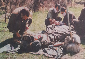 Teröristlerin Kandil Sefaleti