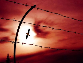 Yalnızlık Sözleri(VİDEO)