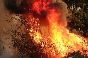Lazkiye'de ki Yangın Türkiye'ye Sıçradı