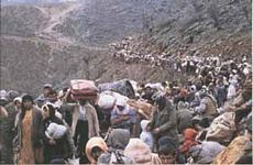 Kerkük'e 600 bin Kürt yerleştirildi.