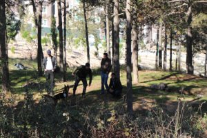 İstanbul'da Mühimmat Araması