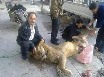 Suriye'de açlığın geldiği son nokta!