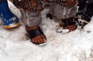 Suriye ve Gazze İçin Acil Çağrı