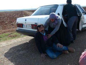 Çaresizliğin Fotoğrafı