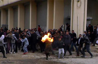 Gösterici molotofla kendini yaktı!
