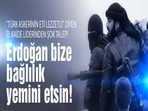 Tekfirci Teröristlerden Küstah Türkiye Açıklaması