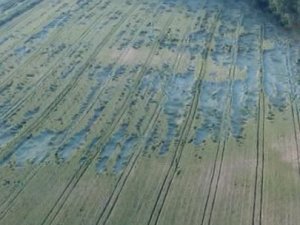 Tekirdağ'da yağış ve fırtına ekili alanları vurdu