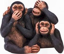 İran, Uzaya Maymun Göndercek