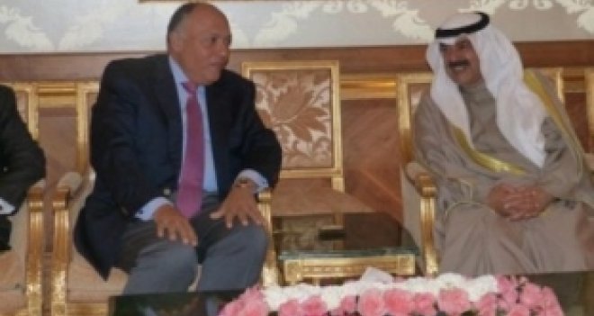 Mısır: Suriye’de tek yol siyasi çözüm