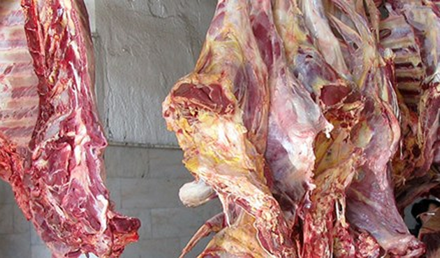 Mersin'de 21 ton kaçak et ele geçirildi