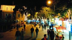 Konya’da Ayı Alarmı!