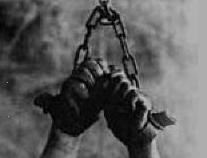 Putin'in Ödüllendirdiği  Şef Öldürüldü