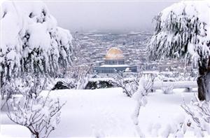 'Mescid-i Aksa Kudüs'te değil' İddiasına Yanıt