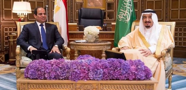 Darbeci Sisi Türkiyeyi Suçladı