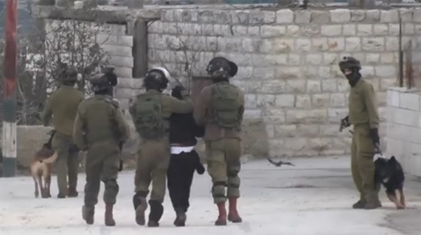 İsrail Köpekli İşkenceye Soruşturma Başlattı(!)