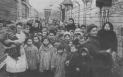 Çeçenya'da 80 Yıl Öncesi