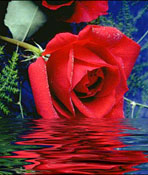 İstiğfar(HADİS-ŞERH)