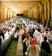 O Şimdi Hacı!(VİDEO)