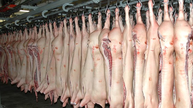 İngiltere'de Süpermarket "Helal" Damgalı Domuz Ürünü Sattı