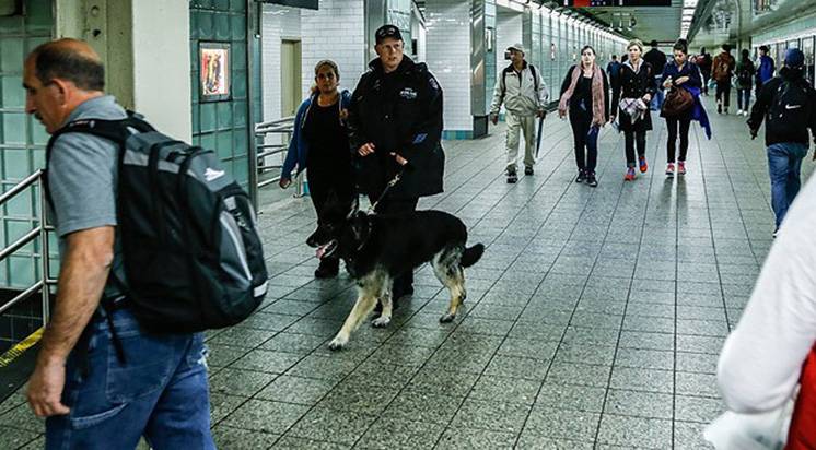 ABD'de İslam karşıtı ilanlara izin verilmedi