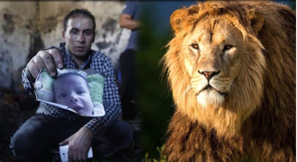 Galloway: Filistinli Bebek bir Hayvan Kadar Önemsenmedi