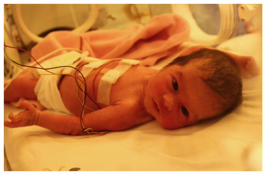 Gazze'de Nüfus Bereketi