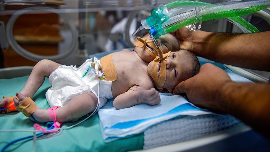 Gazzeli Alimlerden Çağrı Var