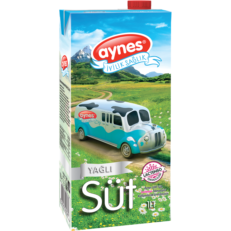 Aynes'e 'FETÖ' Operasyonu