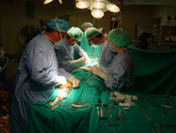 Her Taşın Altından Yahudi Çıkmak Zorunda mı ?