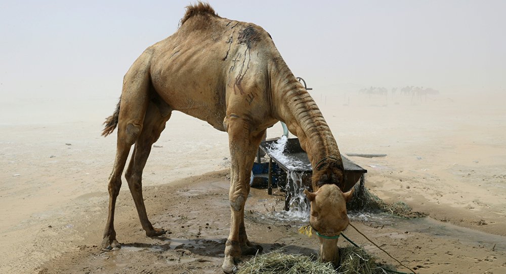 Günün En Komik Haberi Suud'dan