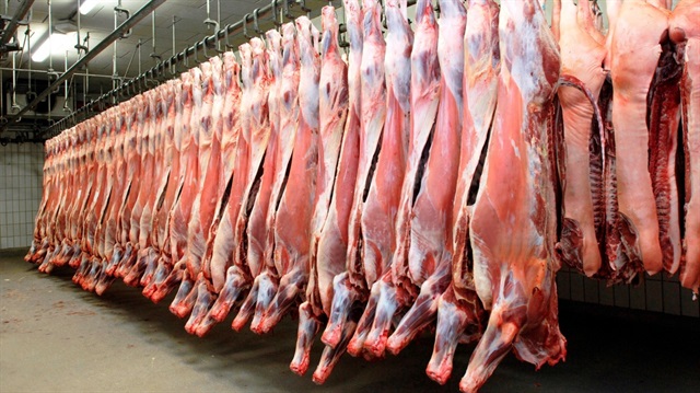 Belçika'da  Helal Kesim Yasaklanıyor