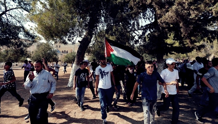 Filistinlilerden Suud, Ürdün ve Mısır'a Tepki