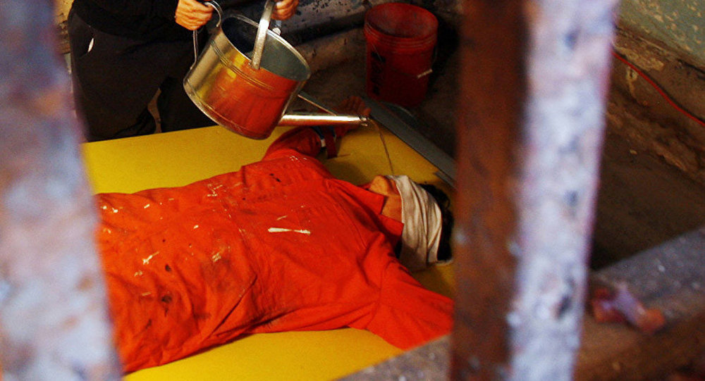 CIA'in  İşkenceci Psikologları Yargılanmayacak !