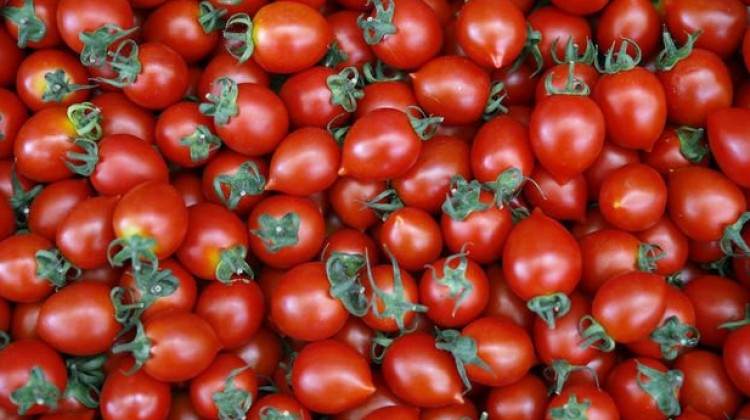 Domates Yerken Bir Kez Daha Düşün !
