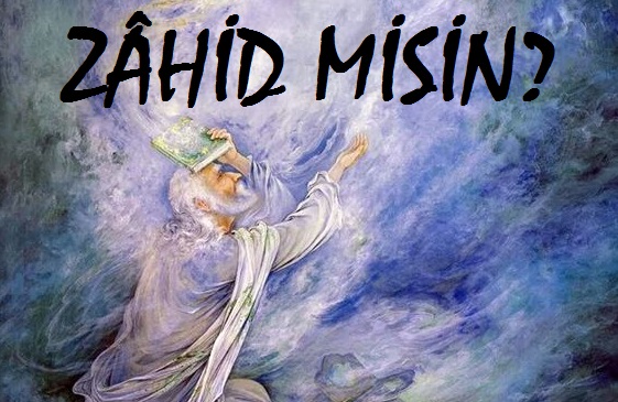 Zahid Misin?