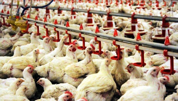 Rusya Türkiye'den Almayı Reddetti