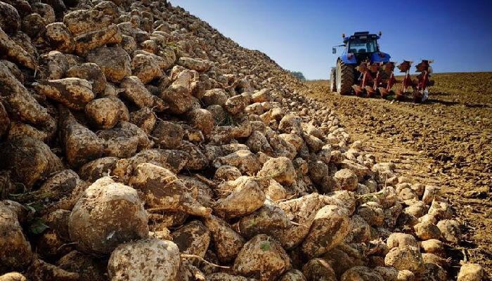 Nişasta Bazlı Şeker Kotası Yüzde 10'dan Yüzde 5'e Düşürüldü